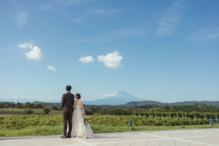 中伊豆ワイナリーシャトーT.S_PICK UP