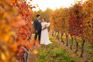 中伊豆ワイナリーシャトーT.S_PICK UP