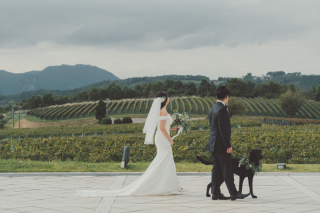 中伊豆ワイナリーシャトーT.S_PICK UP