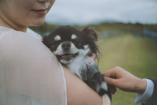 中伊豆ワイナリーシャトーT.S_PICK UP