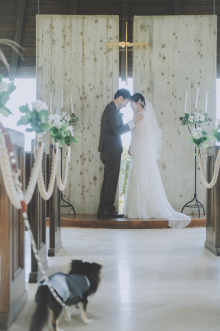 中伊豆ワイナリーシャトーT.S_PICK UP