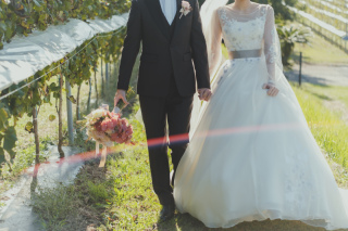 中伊豆ワイナリーシャトーT.S_PICK UP