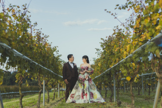 中伊豆ワイナリーシャトーT.S_PICK UP