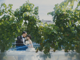 中伊豆ワイナリーシャトーT.S_PICK UP