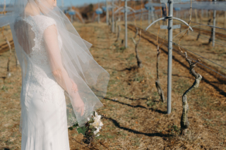 中伊豆ワイナリーシャトーT.S_PICK UP