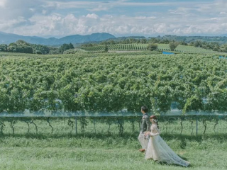 中伊豆ワイナリーシャトーT.S_PICK UP