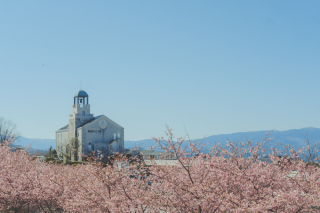 中伊豆ワイナリーシャトーT.S_PICK UP