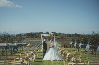 中伊豆ワイナリーシャトーT.S_PICK UP