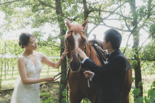 中伊豆ワイナリーシャトーT.S_PICK UP