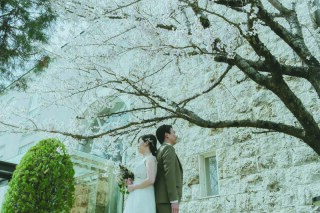 中伊豆ワイナリーシャトーT.S_PICK UP