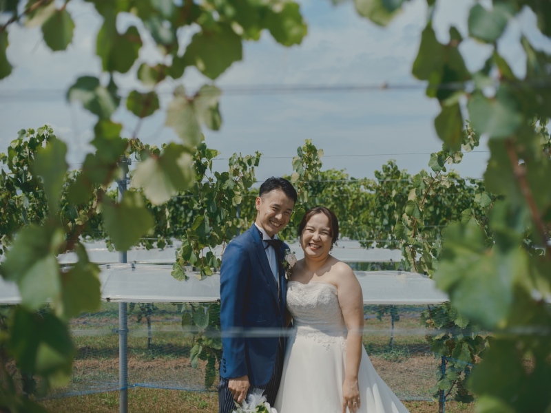 中伊豆ワイナリーシャトーT.S_PICK UP