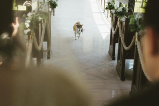 中伊豆ワイナリーシャトーT.S_PICK UP