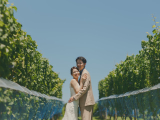 中伊豆ワイナリーシャトーT.S_PICK UP