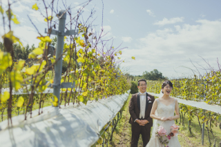 中伊豆ワイナリーシャトーT.S_PICK UP