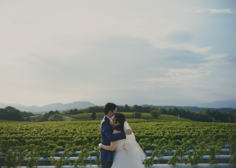 【1月までの撮影限定】チャペル撮影が無料！広大なぶどう畑でのワイナリーロケーションフォトレイト（美容、データ付き）
