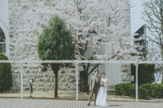 中伊豆ワイナリーシャトーT.S