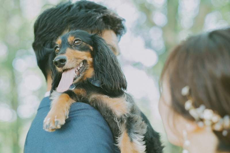 【愛犬・愛兎たち家族と】洋装1着+ワイナリーロケーションプラン(抱っこもOK)