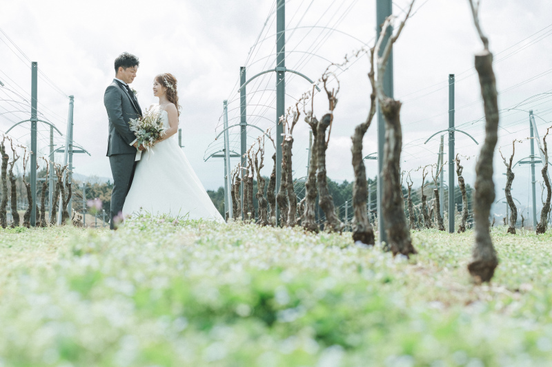 【平日限定】撮影後ペアランチが無料|ロケーションフォトプラン