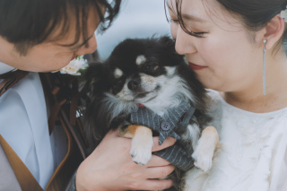 【愛犬と楽しめる】広大なワイナリーで撮るロケーションフォトプラン