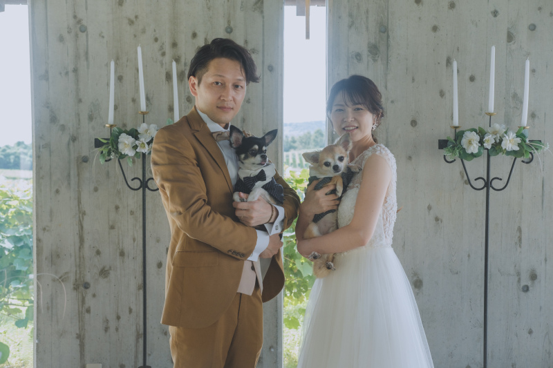 【愛犬と楽しめる】広大なワイナリーで撮るロケーションフォトプラン