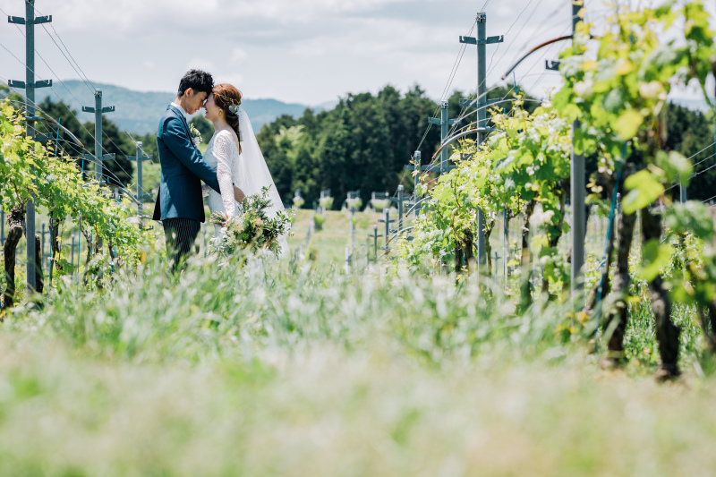 料金 プラン 中伊豆ワイナリーシャトーt S 静岡県でフォトウェディング探すならphotorait