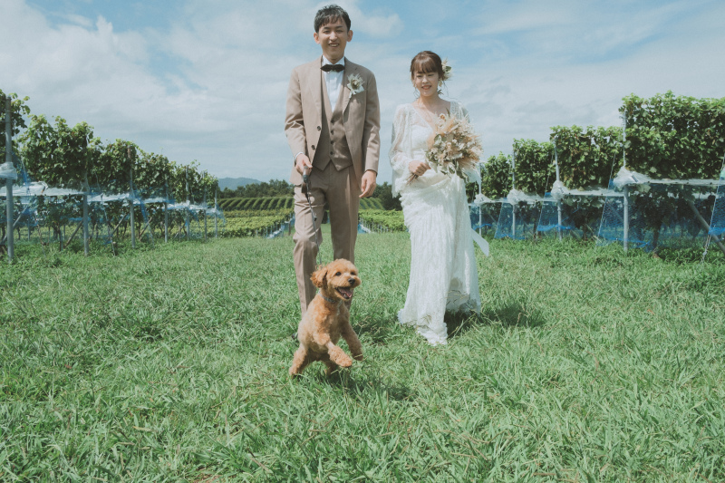 【愛犬・愛兎たち家族と】洋装1着+ワイナリーロケーションプラン(抱っこもOK)