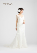 DW704B