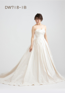 DW718B