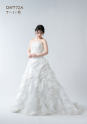 DW772A