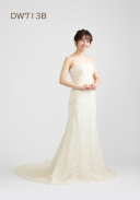 DW713B