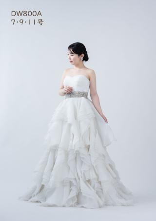DW800A