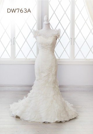 DW763A