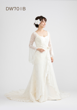 DW701B