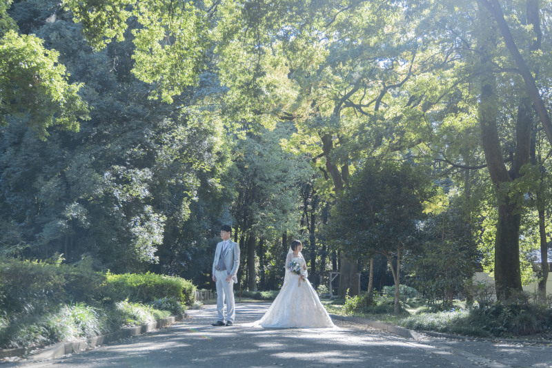 緑にかこまれて。