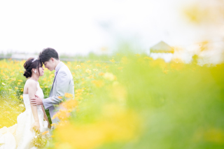 洋装ロケーションプラン