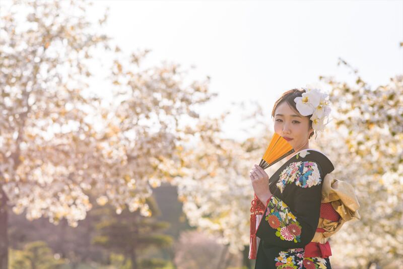 西日の引き振袖