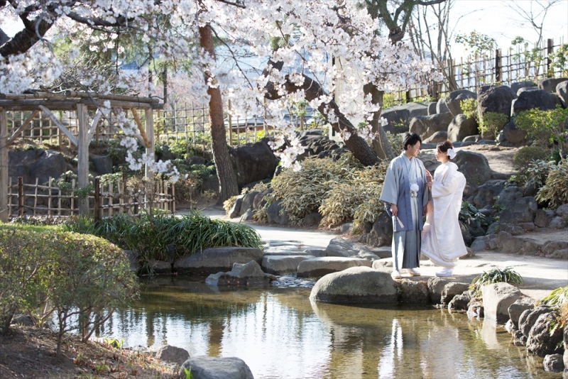 臨江閣桜ロケ