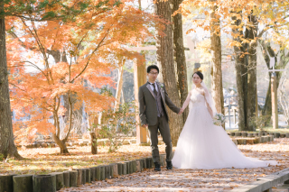 紅葉ロケーション