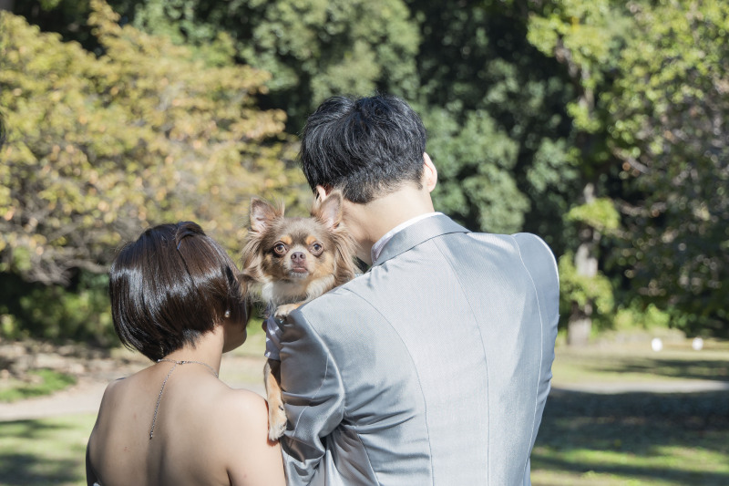 わんちゃんも！