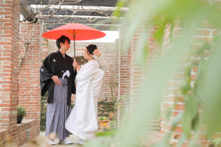  和装洋装２着スタジオプラン