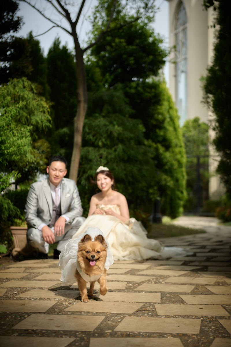 【洋装ロケーション】ペットと一緒に撮影♪≪全データ≫