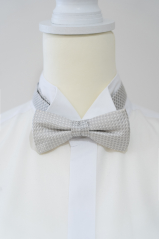 蝶ネクタイ２６