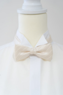 蝶ネクタイ１２