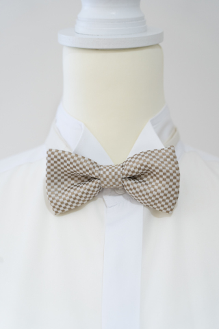 蝶ネクタイ１０