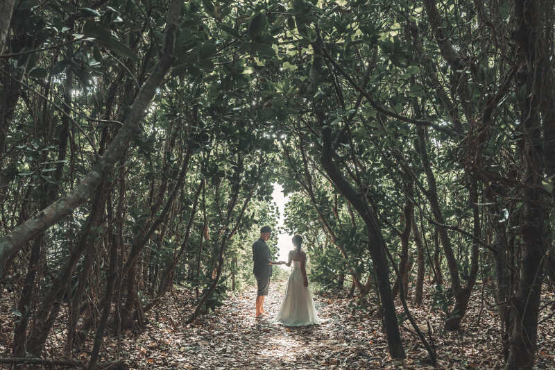 幻想的な自然の森が織りなすアーチをくぐっていく