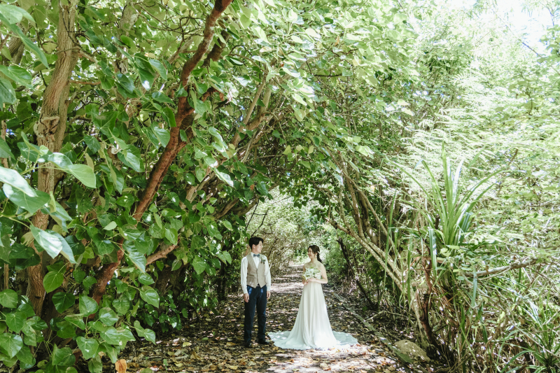 森の中のような場所で