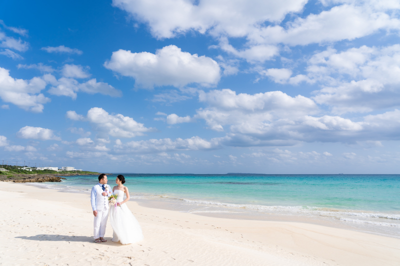 南の島でしか出会えない美しいコントラスト