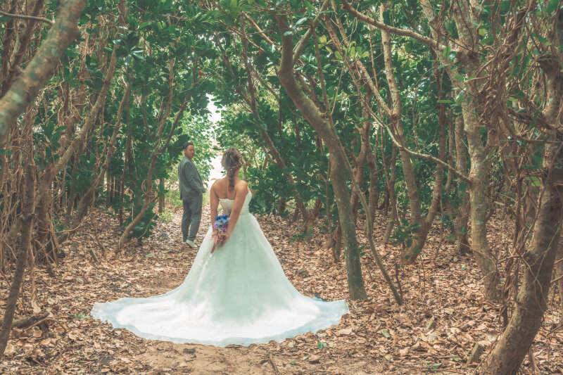 森の中で佇む後ろ姿がとても美しく映える