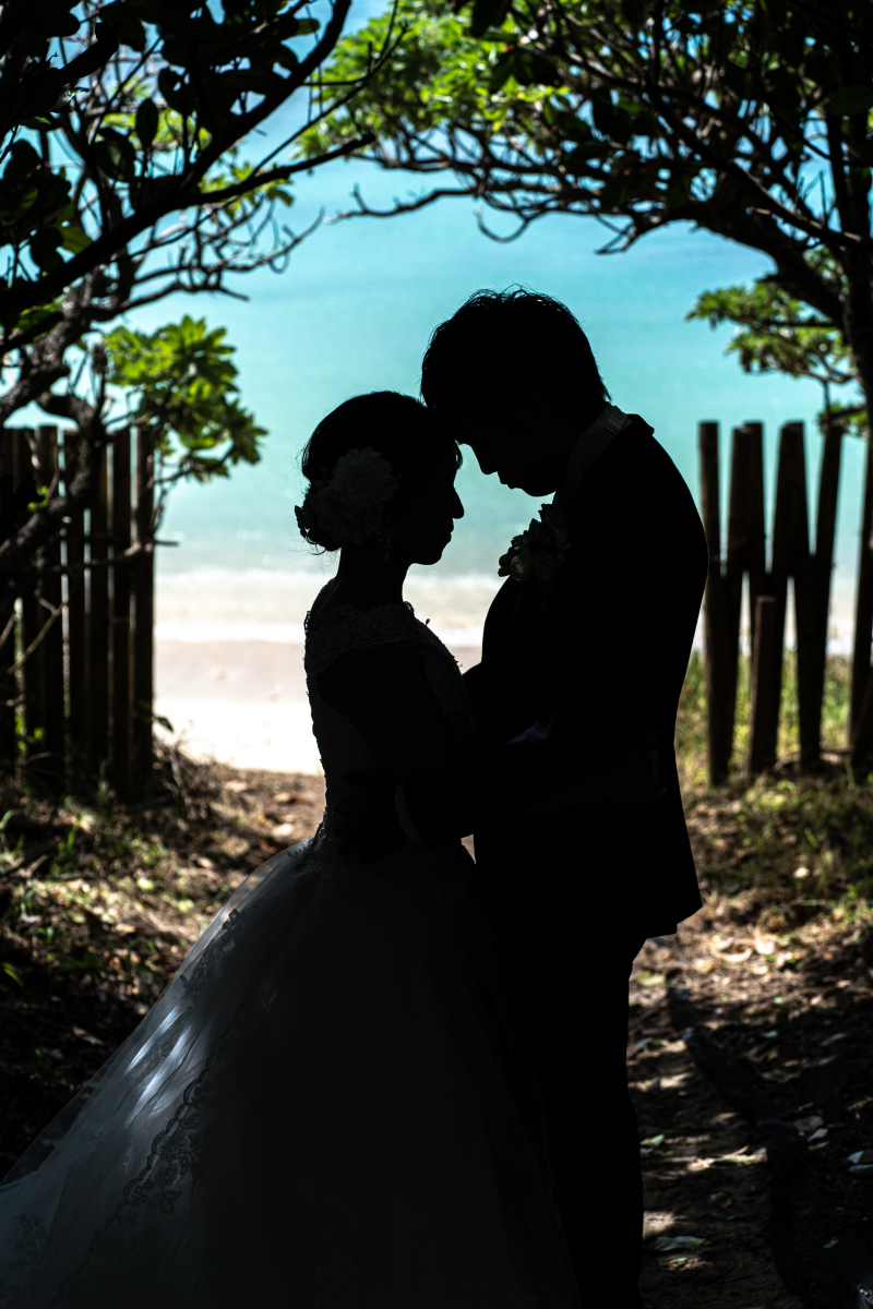 海と自然のハーモニーを