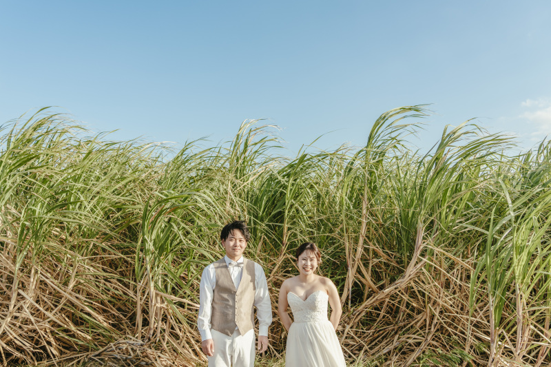 次は、さとうきび畑に到着！